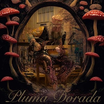 pluma-dorada on Band Mate